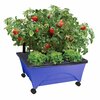 City Pickers Raised Bed Grow Box, Self Watering and Improved Aeration, Mobile Unit with Casters, Cobalt Blue 2348-1HD